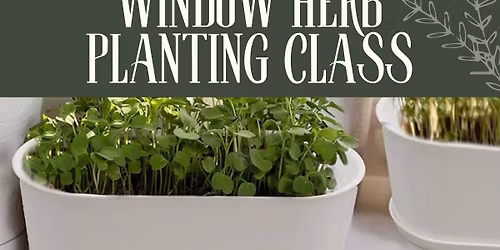Window Herb Planting Class at Spellbound Sisters