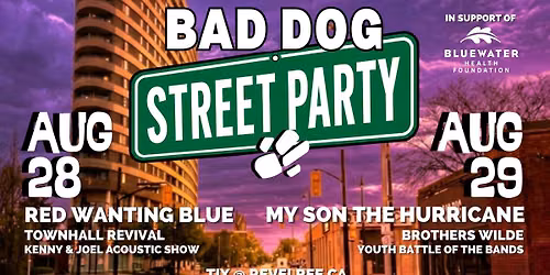 The Bad Dog Street Party