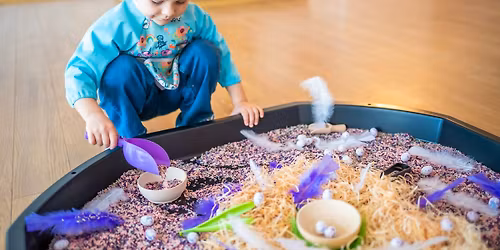 Through the Lens of Sensory Processing