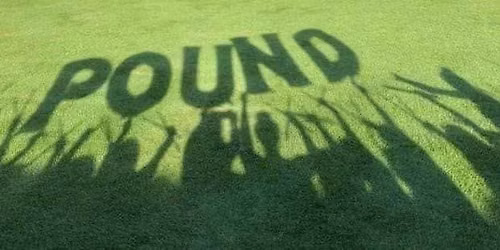 Pop-Up POUND at Wegewood Park