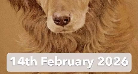 Pet Portraits in Coloured Pencil With David Sandell (Cambridge)