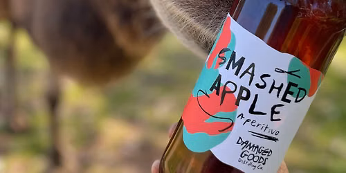 Camel Yoga- Stretch and Sip