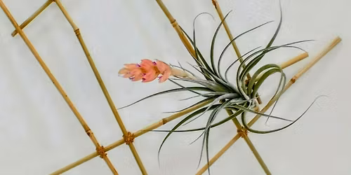 Ikebana Workshop: Creating Structure with a Bamboo Frame