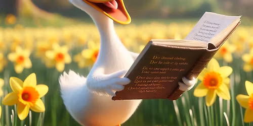 Poetry with Kate Rose