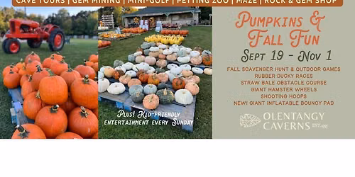 Pumpkins & Fall Activity Area + Special Sunday Events