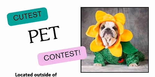 Cutest Pet Contest