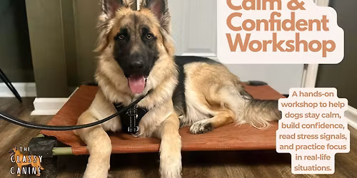 Calm & Confident Workshop