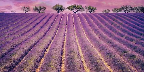 Et si on accueillait pleinement l abondance...\/ 5 places dispos.