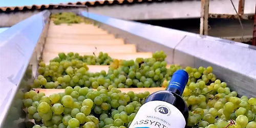 Greece: Ancient Roots, Modern Wines