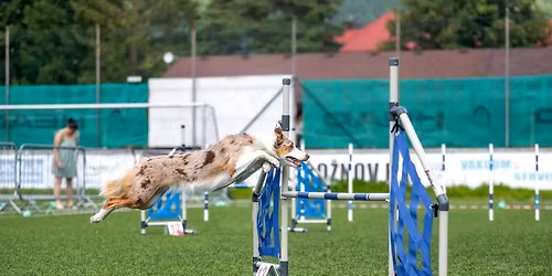 SportsPoterne Summer Cup 2026