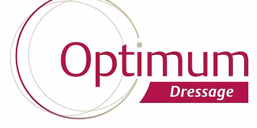 Dena Green Dressage Training Clinic