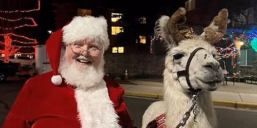 Meet Santa and the Llama-deers at Martin Luther Campus