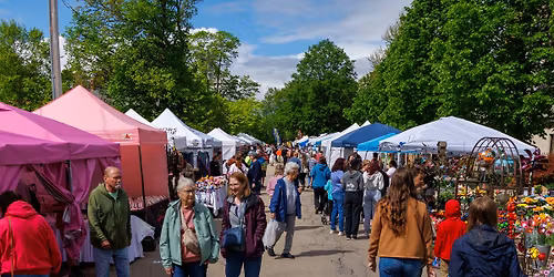 Festival of Spring 2026