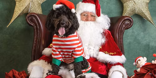Santa Paws HALSTEAD