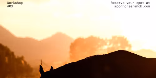 UNDER THE DESERT MOON: A LANDSCAPE WORKSHOP AT MOON HORSE RANCH
