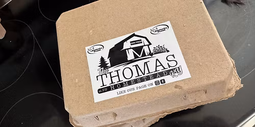 Make your own herbal salves