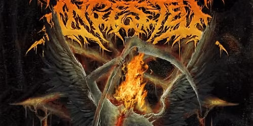 Ingested at The End