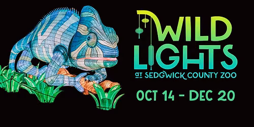 Wild Lights