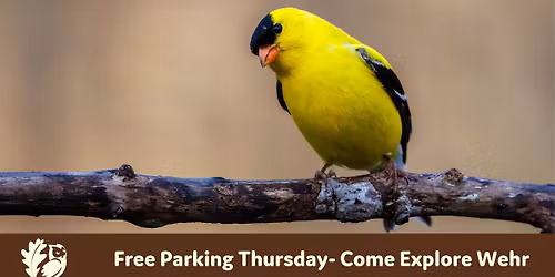 Free Parking Thursday!