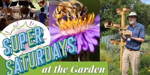 Super Saturday at the Garden! \u2013 Pollinators