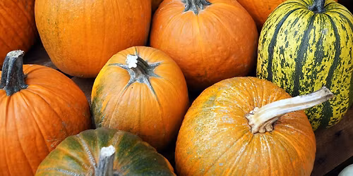 Woensdagmiddagactiviteit Pompoenen 5 november 14:00-16:00 uur Kinderboerderij Dierendorp