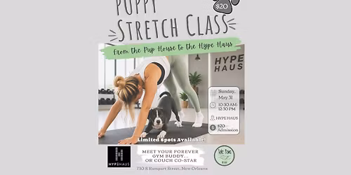 Puppy Stretch Class with Hype Haus Fitness