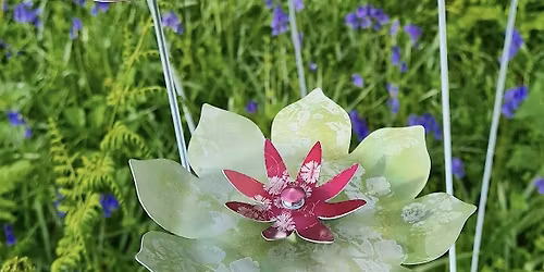 Colourful Garden Stems with Caroline Parrott