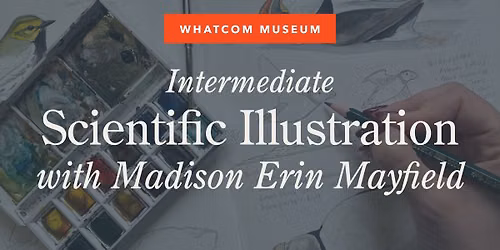 Intermediate Scientific Illustration: Watercolor Workshop with Madison Erin Mayfield