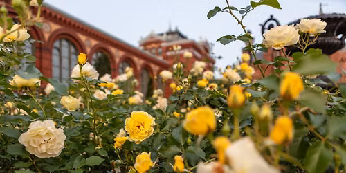 Katherine Dulin Folger Rose Garden and Mary Livingston Ripley Garden Tour