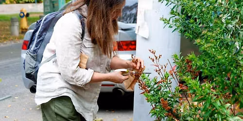 Seed Harvesting Tour & Plant Giveaway