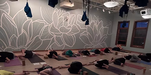 Yoga Basics - 2 Week Series