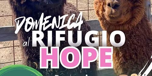 Domenica 24 Maggio al rifugio Hope \ud83c\udf38