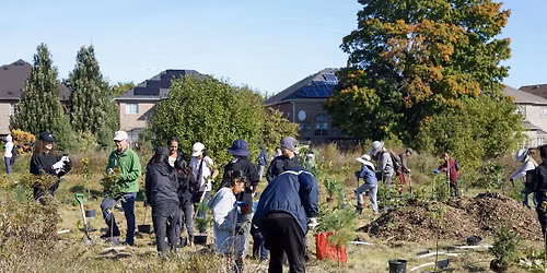 Community Tree Planting