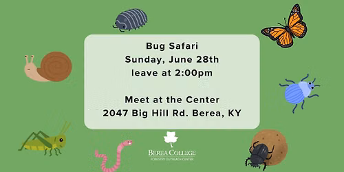 Family Activity: Bug Safari