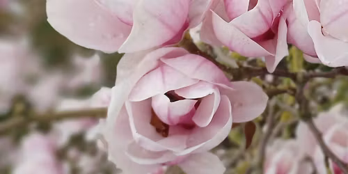 Paasbrunch \u2013 tussen ontbijt en lunch, het beste van beide