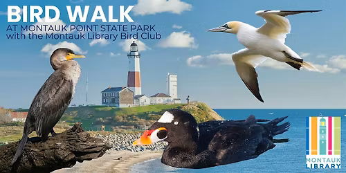 Bird Walk at Montauk Point