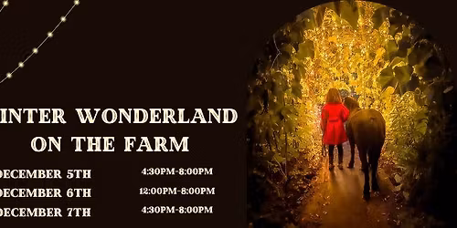 Winter Wonderland on the Farm