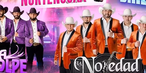 CONTRA GOLPE, LA NOVEDAD NORTE\u00d1A & MAS