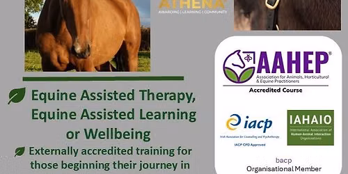 Equine Assisted Services (EAS) NORTHERN IRELAND Foundation Certificate  