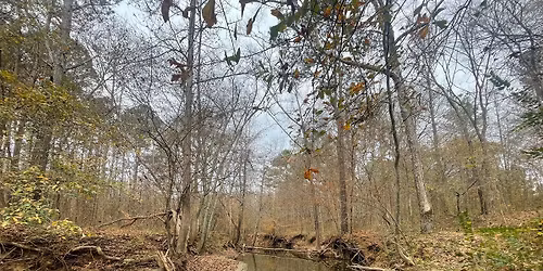 \ud83c\udf19\ud83c\udf42 DISCOVER PRICE PARK After Dark \u2014 Adults Only \ud83c\udf42\ud83c\udf19