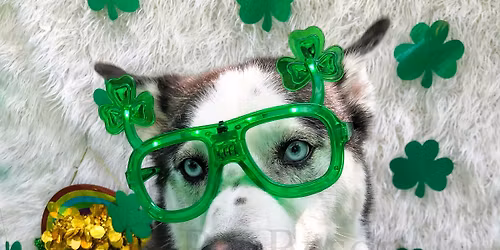 St. Patty's Day Party