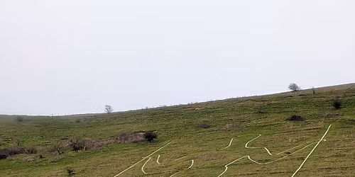 The P&H Long Man 10k . (20th anniversary event)