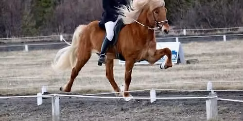 R\u00f8kkvi - kurs med Fri\u00f0d\u00f3ra Fri\u00f0riksd\u00f3ttir