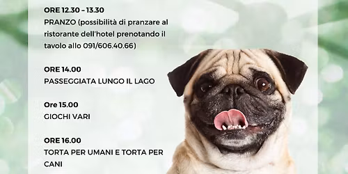 Pug\u2019s at the Lake 2025 - raduno di carlini