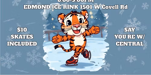 Central Ice Skating Night