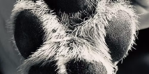 December $10 nail day!