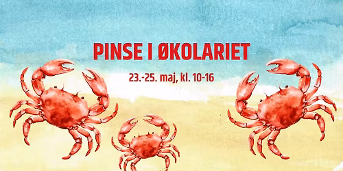 Pinse i \u00d8kolariet \ud83e\udd80\ud83c\udf0a\ud83d\ude0e