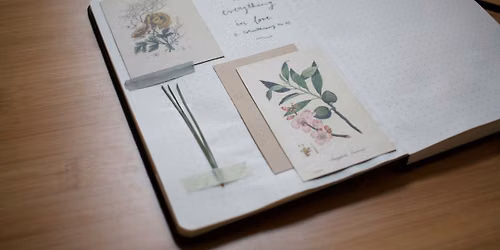 Creating a garden journal with Chris Rockley