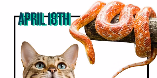 4-H Pet Fair
