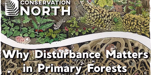Conservation North Info Table & Art Launch